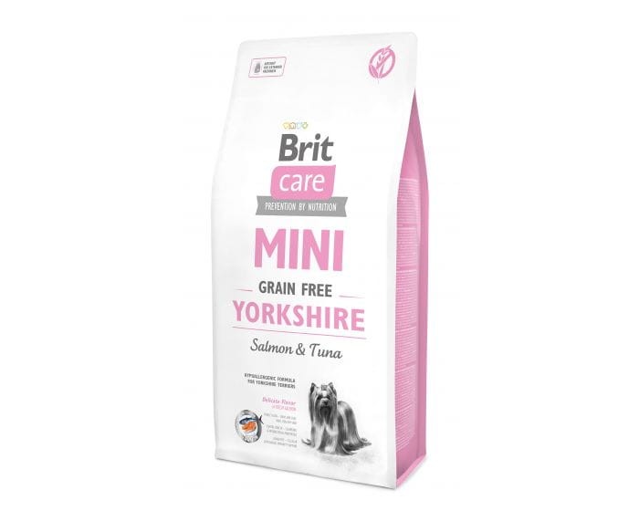 brit-care-adult-mini-yorkshire.jpg