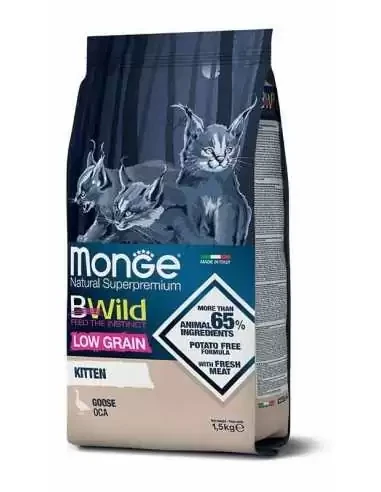 bwild-cat-kitten-ges-1-5kg (1).jpg