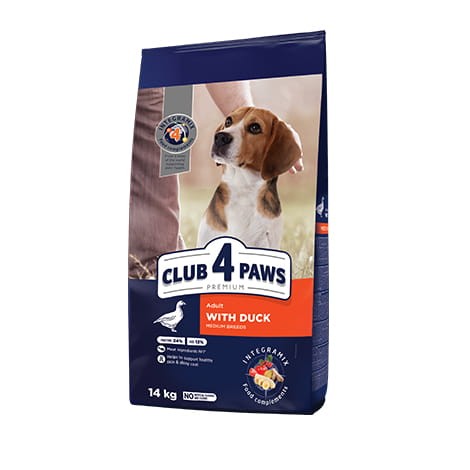 club-4-paws-large-duck-14.jpeg