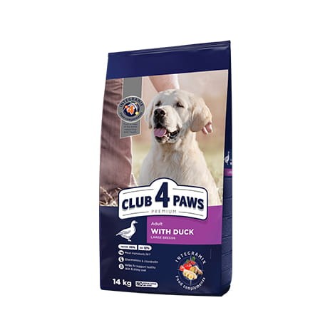 club-4-paws-large-large-duck-14.jpeg