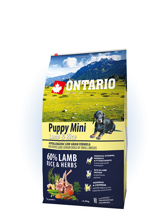 Ontario Mini Puppy Lamb & Rice 6,5kg