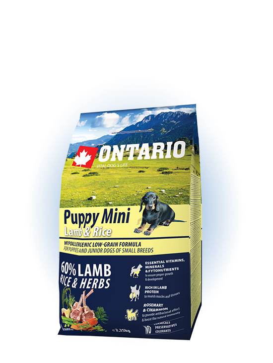 Ontario Mini Puppy Lamb & Rice 2,25kg