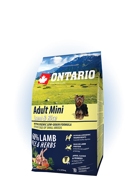 Ontario Mini Adult Lamb & Rice 2,25kg