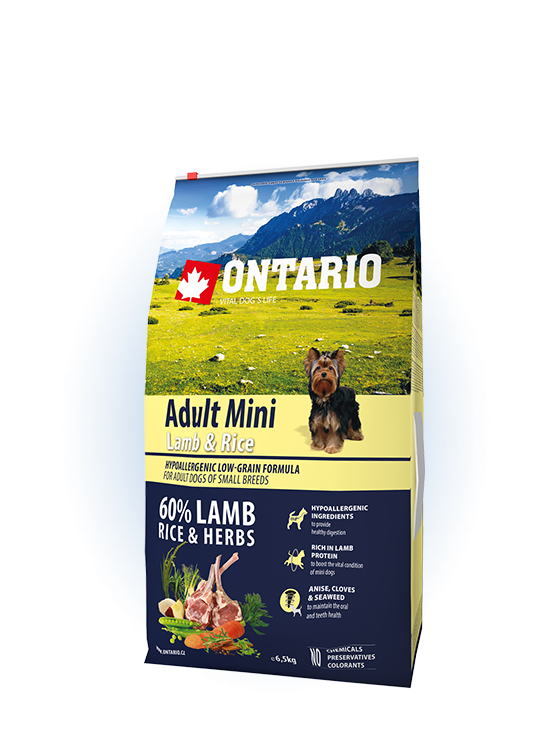 Ontario Mini Adult Lamb & Rice 6,5kg