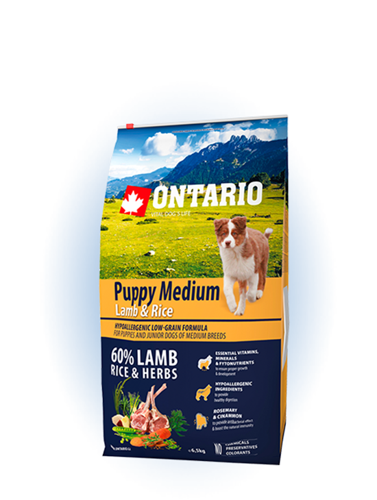 Ontario Medium Puppy Lamb & Rice 6,5kg