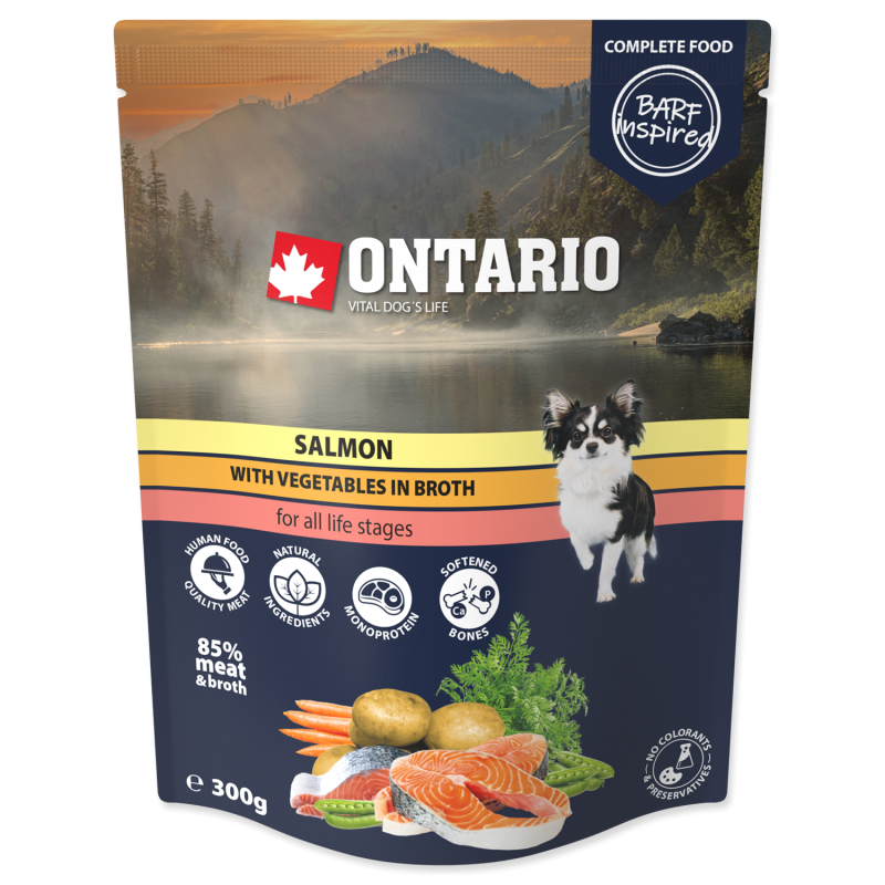 Ontario Łosoś z warzywami w bulionie 300g