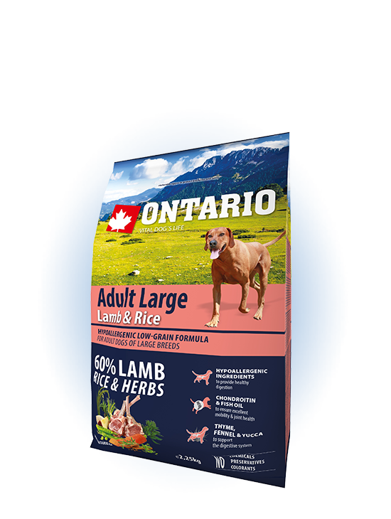 Ontario Large Adult Lamb & Rice 2,25kg