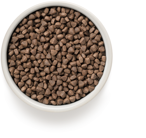 GRANDORF CAT Sterilised Rabbit Turkey 400g