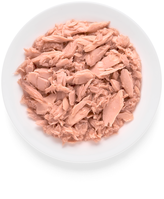 GRANDORF CAT Tuna Fillet 70g