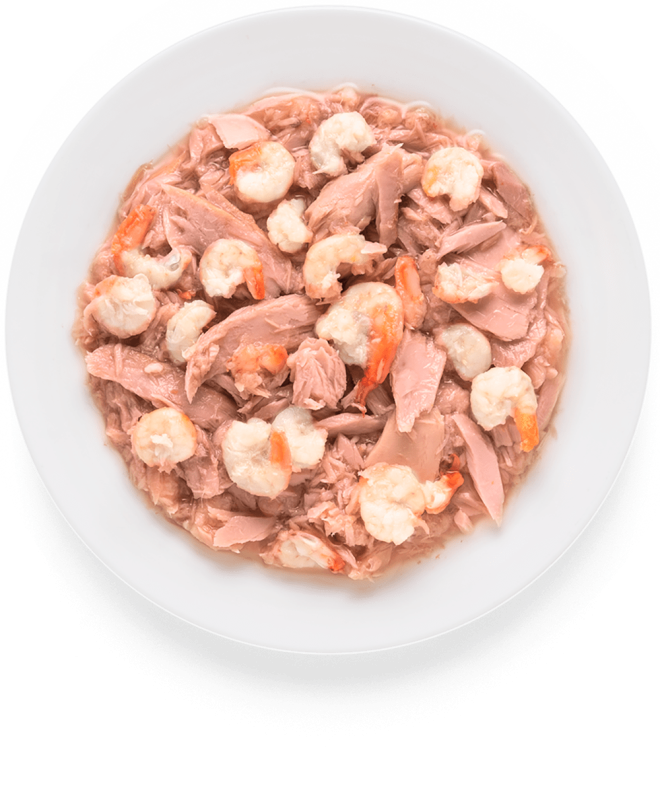 GRANDORF CAT Tuna Fillet  Shrimps 70g