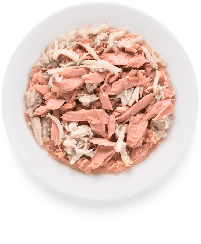 GRANDORF CAT Tuna Fillet Chicken 70g