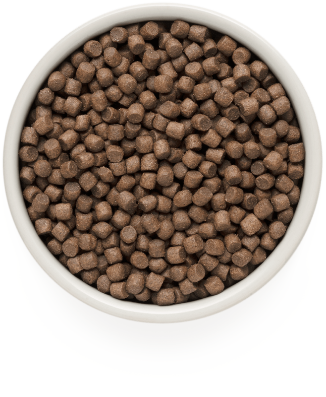 GRANDORF Adult Mini 4Meat 3kg