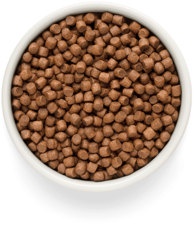 GRANDORF Fresh Adult Mini Salmon
