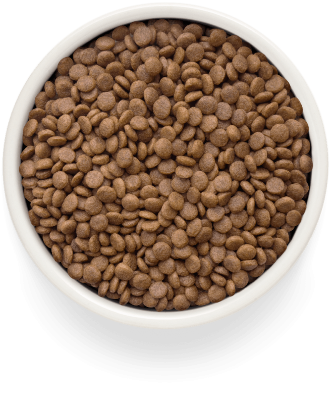 GRANDORF Cat Fresh Adult Sterilised Salmon