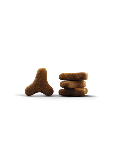 josera-culinesse-cat-food-croquette.jpg