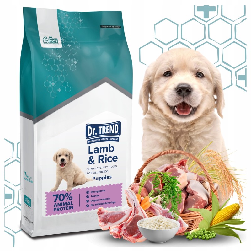 dr-trend-mini-puppy-lamb.jpg