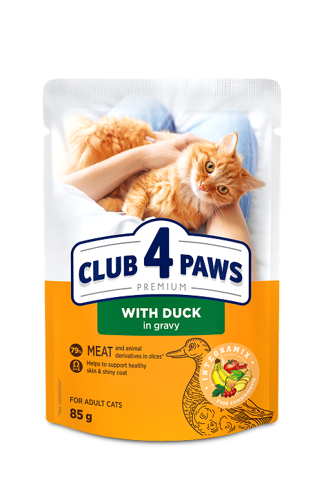 club-4-paws-cat-duck.png