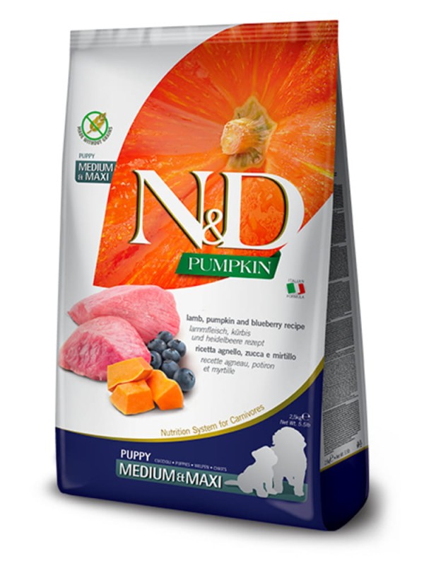 nd-pumpkin-puppy-medium-maxi-lamb-pumpkin-blueberry_750x1000.jpg