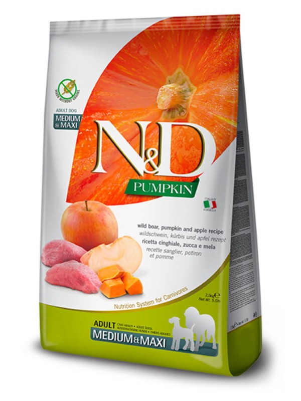 nd-pumpkin-adult-medium-maxi-wild-boar-pumpkin-apple_750x1000.jpg