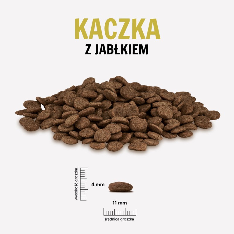 KACZKA-JABLKO.jpg