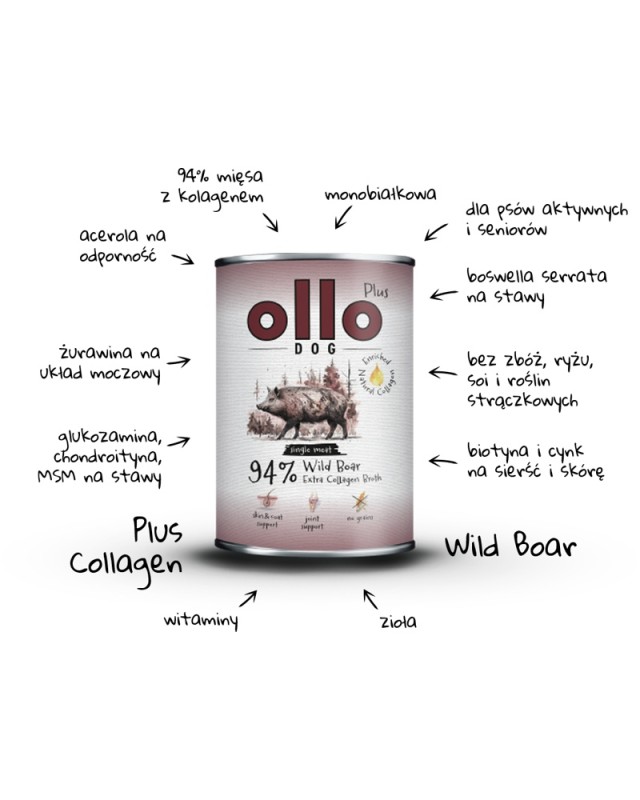 ollo-plus-boar.jpg