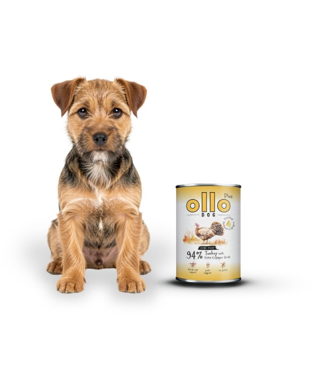 ollo-plus-turkey-dog_800x1000.jpg