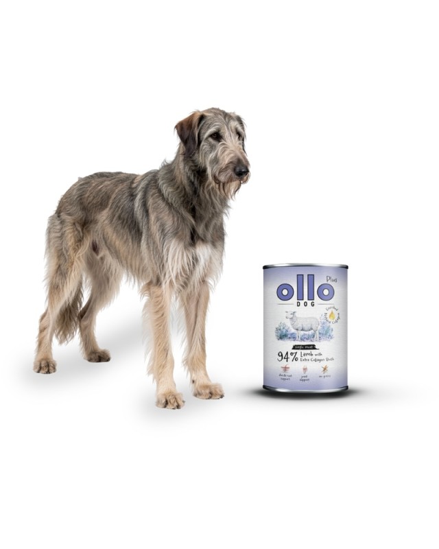 ollo-plus-lamb-dog_800x1000.jpg