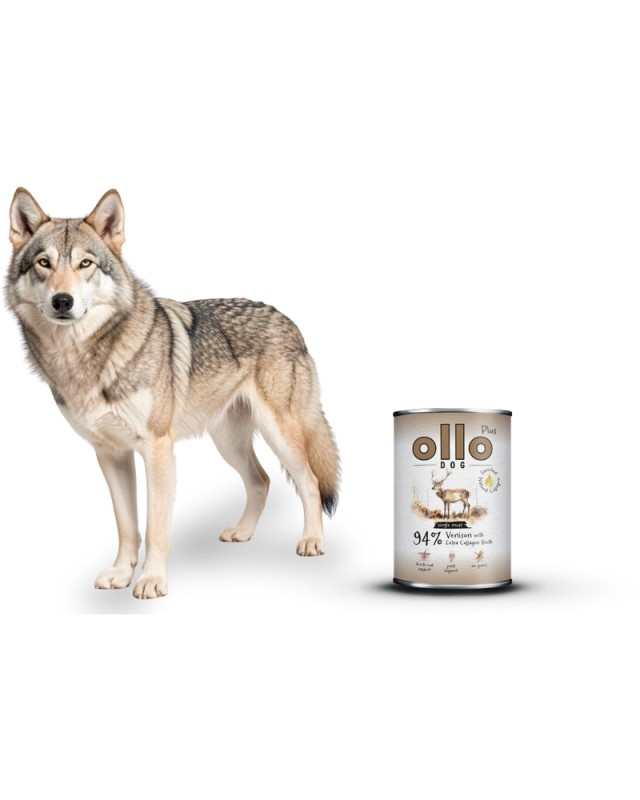 ollo-plus-venison-dog_800x1000.jpg