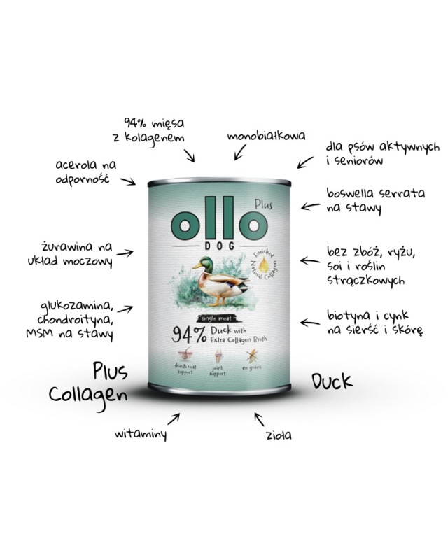ollo-plus-duck-arrows_800x1000.jpg