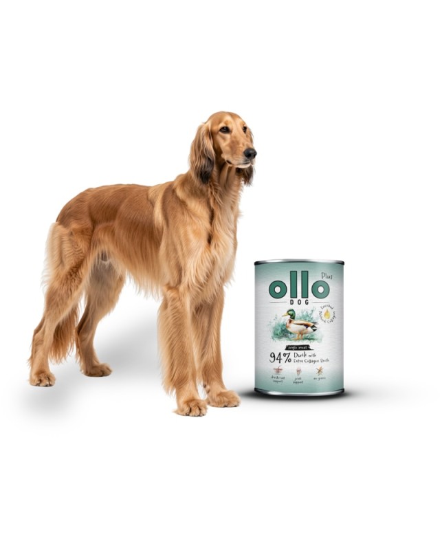 ollo-plus-duck-dog_800x1000.jpg
