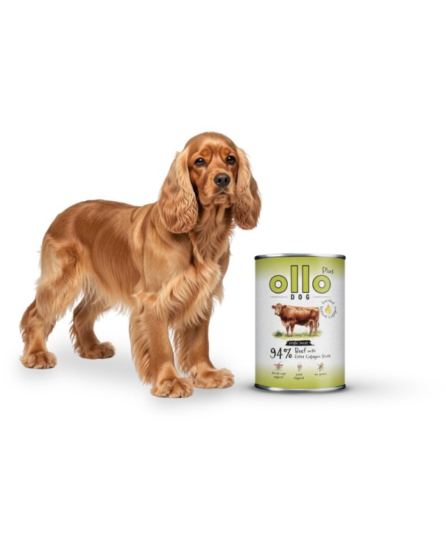ollo-plus-beef-dog_800x1000.jpg