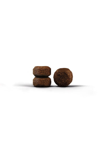 josera-carismo-cat-food-croquette.jpg