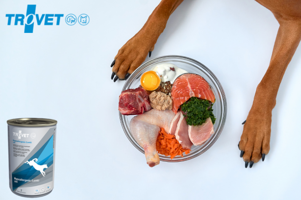 Trovet - karma dla psów z wrażliwym żołądkiem