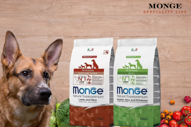 Testujemy suchą karmę dla psa MONGE Speciality