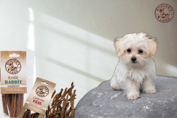 Zdrowe przysmaki dla psa: 100% suszonego mięsa