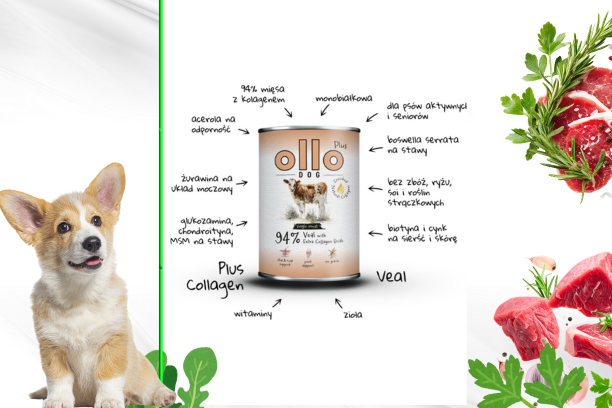 Ollo Plus Kolagen: recenzja karmy dla psa