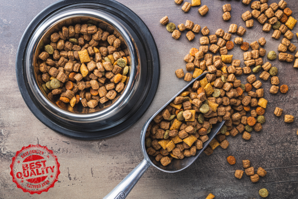 Dlaczego warto inwestować w wysokiej jakości karmę dla psa?